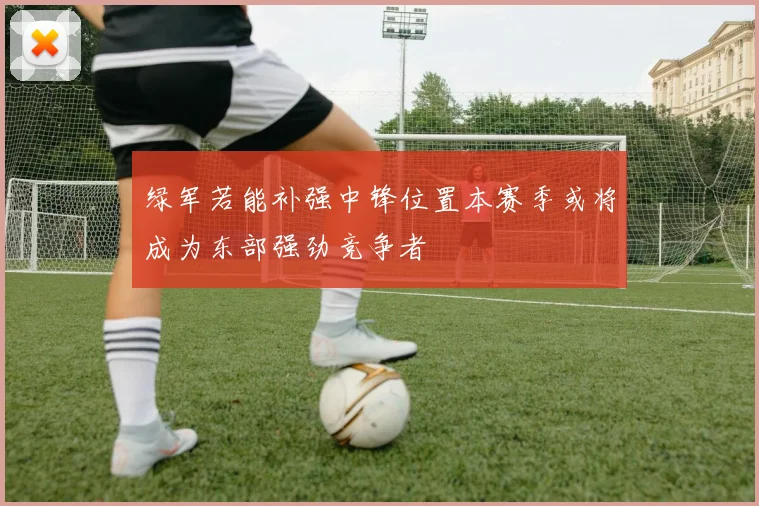 绿军若能补强中锋位置本赛季或将成为东部强劲竞争者